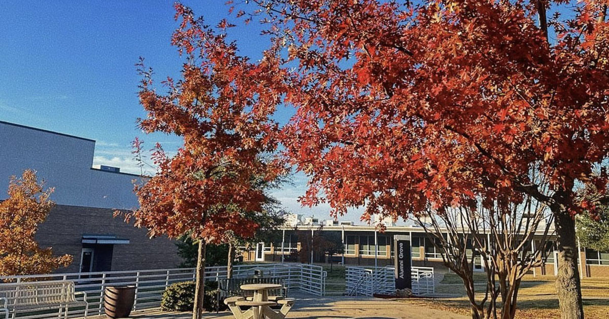 View of plaza on campus with vibrant red fall leaves on trees